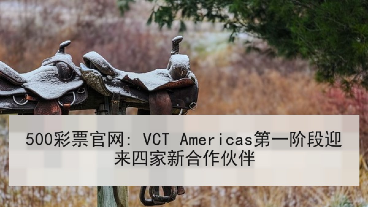 500彩票官网: VCT Americas第一阶段迎来四家新合作伙伴