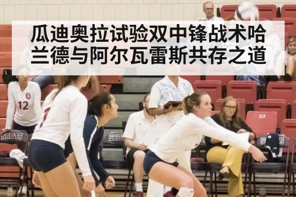 瓜迪奥拉试验双中锋战术哈兰德与阿尔瓦雷斯共存之道